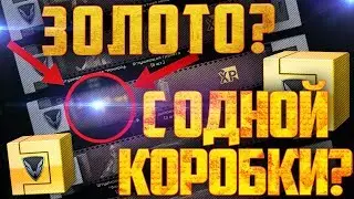НУ ПРОСТО НЕРЕАЛЬНОЕ ВЕЗЕНИЕ ВЫБИЛ ЗОЛОТУЮ BERETTA ARX 160, DP-12, BUSHMASTER BA50