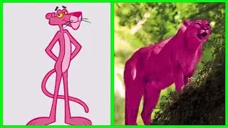 Pink Panther and Pals Characters in Real Life