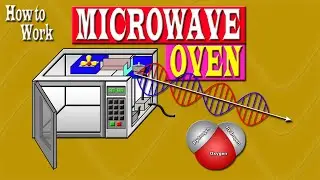 the principle and how to work microwave oven - Animation