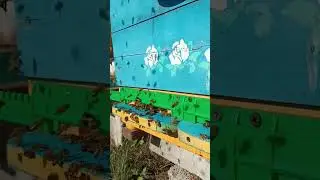 Девчонки все в делах....