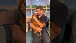 Dogs 4 Wildlife 'LIVE' on ITV THIS Morning