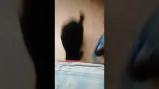Коты ПЬЮТ ПИВО! и хавают чипсы). (ржака смотрите до конца 😂)