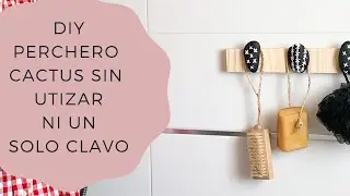 COMO HACER UN PERCHERO DIY CACTUS SIN UN SÓLO CLAVO