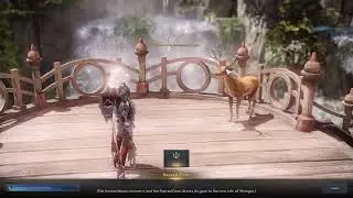 SHANGRA ISLAND Main Questline and EVENT Gameplay in LOST ARK