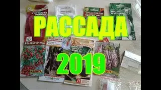 ПРОВЕРЯЮ СЕМЕНА НА ВСХОЖЕСТЬ.РАССАДА 2019