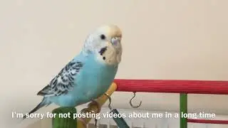 Sorry (reuploaded from yesterday)