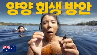 양양은 바이런 베이가 될 수 있을까?