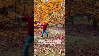Умные люди иногда дурачатся