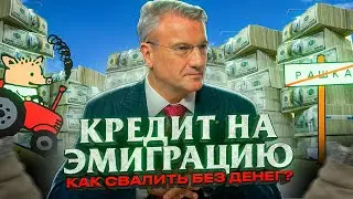 СТОИТ ЛИ БРАТЬ КРЕДИТ НА ЭМИГРАЦИЮ? ЧТО БУДЕТ ЕСЛИ УЕХАТЬ И НЕ ПЛАТИТЬ? / Эмиграция без денег
