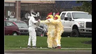 Chickens vs. Cows- CHIC FIL-A BRAWL