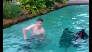 Redneck pool fun