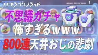 【800連天井】不思議ガチャお得なパックが来たので勢いで引いたら悲劇が起きた…【コード：ドラゴンブラッド】