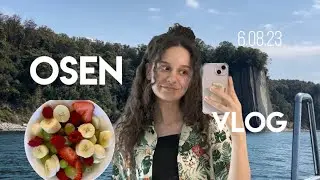 осенний влог|| 11 класс егэ||как я похудела||обычная жизнь||учеба||сдаю егэ 2023-2024