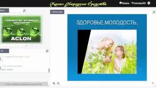«САД   ACLON»  Финансовые возможности бизнеса в компании   Меньшикова О  15 02 17