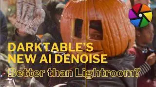 Darktable's NEW AI Denoise: Better Than Lightroom?