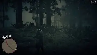 Red Dead Redemption 2 - Creepy Night People Encounter (jump scare)
