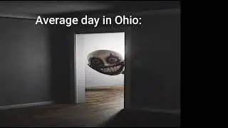An Average Day In Ohio.