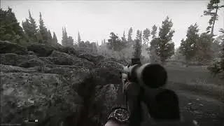 EFT woods spawn action
