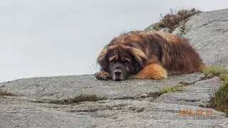 Egon på tur til Hitra