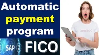 Automatic payment program_3 in sap fico // APP in sap fico // Call or WhatsApp me @ +91 7416797921