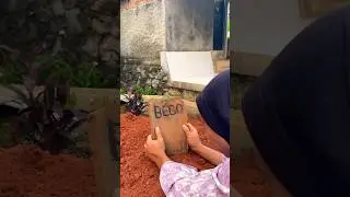Bego at Mother's Grave