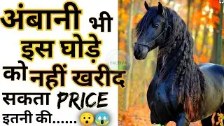दुनिया का सबसे महँगा घोड़ा। world's most expensive horse । #shorts