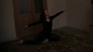 "Лебедь"