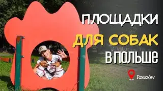 До свидания, Польша! Обзор Площадок Для Собак в Польше / г.Жешув