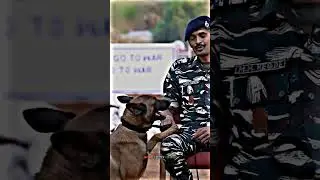 Indian Army Dog Status 🇮🇳🇮🇳 || Indian Army Dog Video🔥🔥 || 