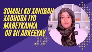 SOOMAALI KU XANIBAN XUDUUDA IYO MAREYKANKA OO SII XOOJIYAY XIRITAANKA XADUUDKA