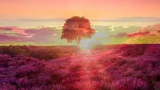 A Beautiful Sunset Story (HD1080p)