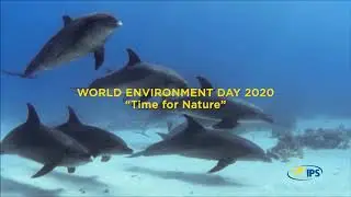IPS - WORLD ENVIRONMENT DAY 2020