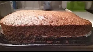 How to Make a Mouthwatering Cocoa Cake in Minutes