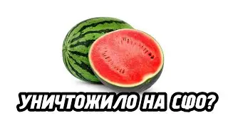 АРБУЗА ИЗ МЕМА - БОЛЬШЕ НЕТУ? ЕГО УНИЧТОЖИЛО НА СПЕЦИАЛЬНОЙ ФРУКТОВОЙ ОПЕРАЦИИ?
