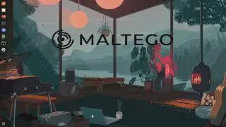 Powerful OSINT Weapon! Info Gathering with MALTEGO - HowTo + Custom Addons (OSINT tool)