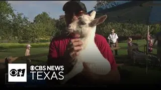 Dallas Arboretum "Labor Day Family Fun Weekend" features special events, extended hours
