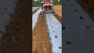 Укладка пленки 🌱💦🚜