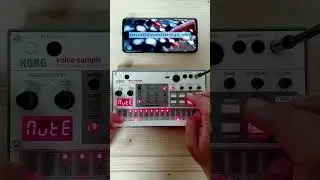 Volca Sample | Sample Pack: Vintage Vibes vs Modern Analog #shorts  #volcasample #samplepack