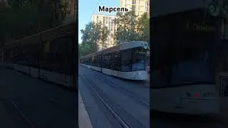 Марсельский трамвай @polsveta50 Marseille France 🇫🇷