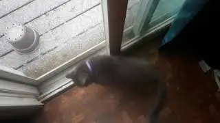 First snow fall of Winter 2020