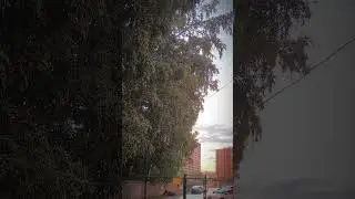После ливня чистота... #видео #лето #2024 #video #catcut #нск54 #сибирь