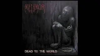 Malamor – Dead To The World