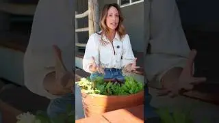 Get Your Garden Growing - 5 Quick Crops to Harvest FAST 🌱