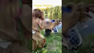Приключения Бабы Яги и Лешего в Анциферово #леший #яга #приколы