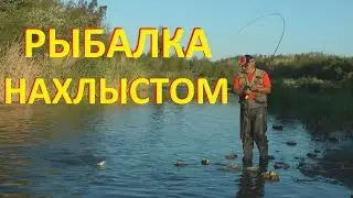 Рыбалка нахлыстом на мелкой речке.