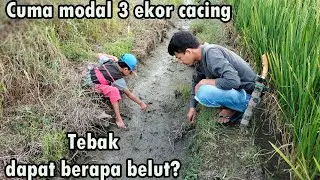 It's Not Engineering, Just 3 Worms Can Get This Many Eels