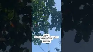 மரக்கிளை வெட்டும் கருவி 9787672239 மேலூர் மதுரை🇮🇳(1)