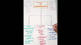 Hyperkalaemia Causes in 60 Seconds #Shorts #TachyTidbit