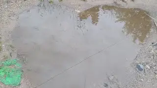 прятки у ксюши дома