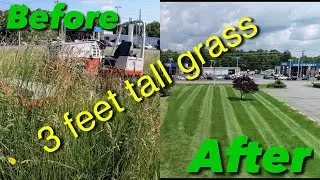 Mowing Tall Thick Grass Ventrac 4500 Tough Cut